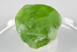 Green Olivine Peridot Crystal - Pakistan #183957-2